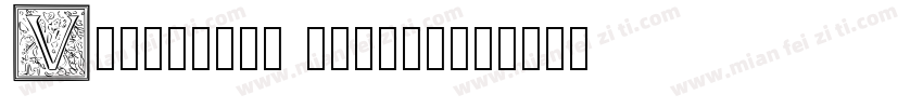VNcentury Gothic字体转换